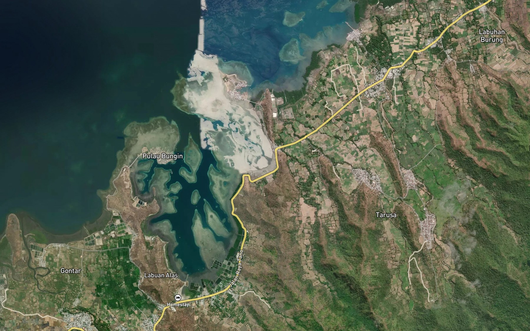 Satellite map of the Teluk Palung