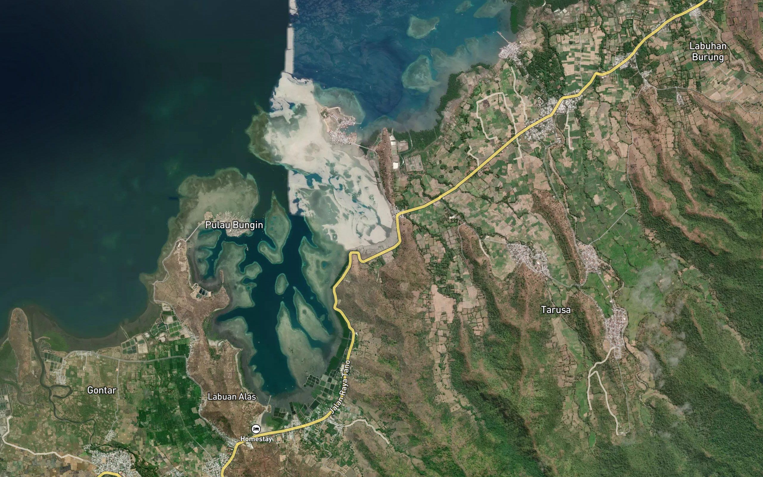 Teluk Palung