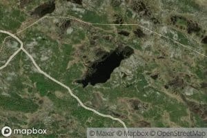Vetafjelltjornet