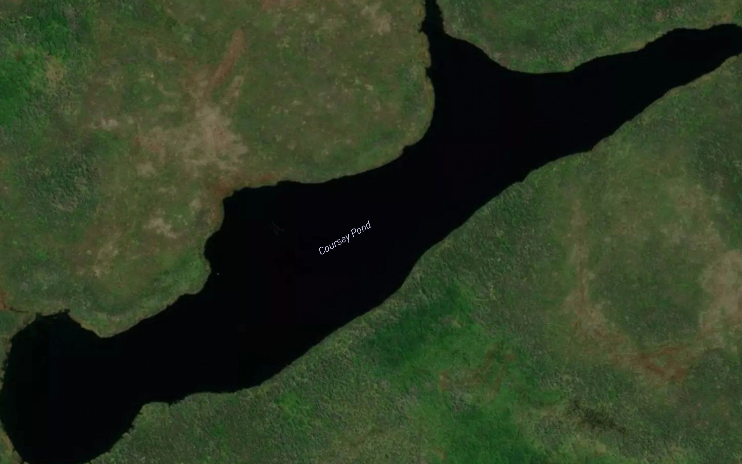 Coursey Pond