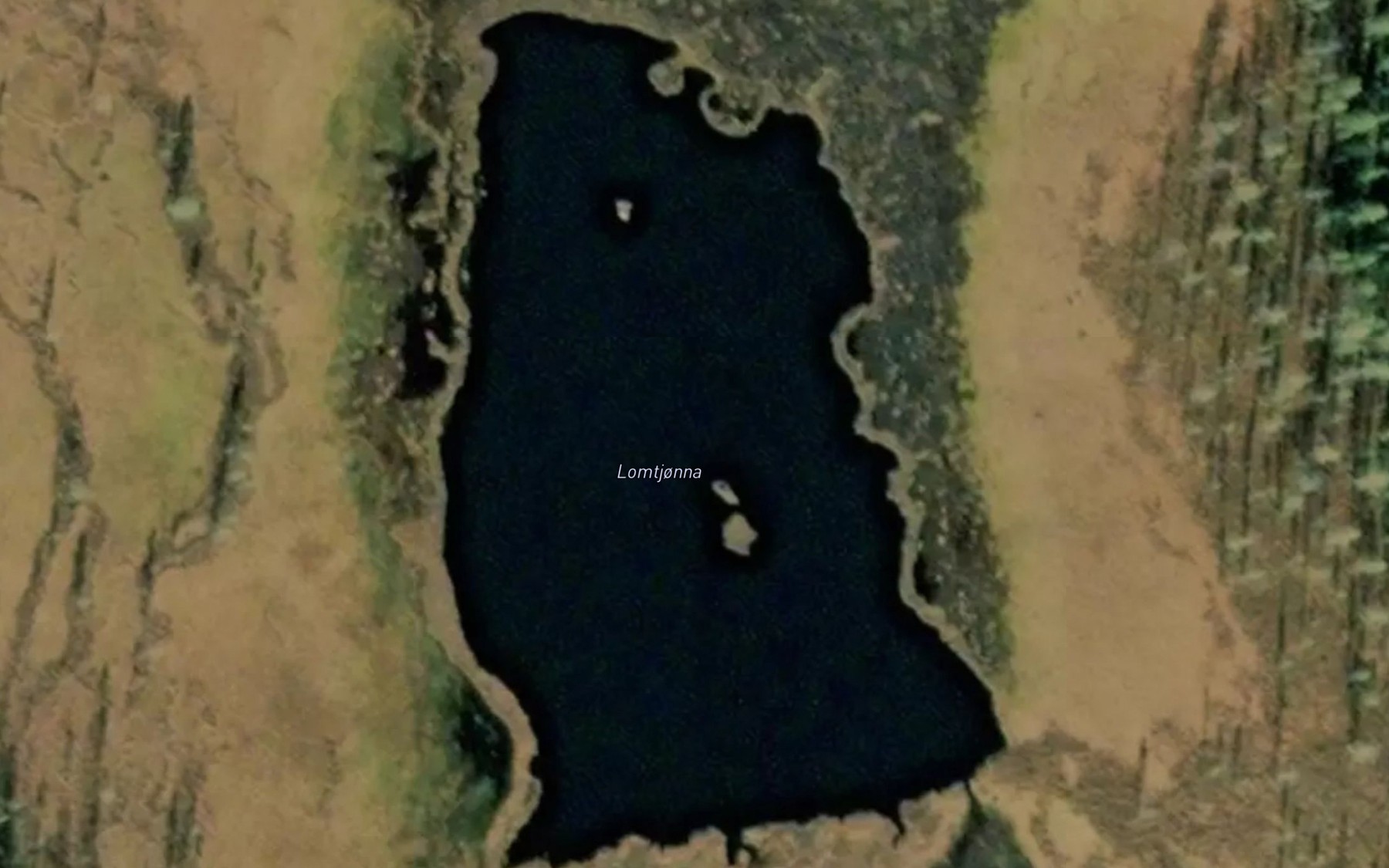 Satellite map of the Lomtjorna