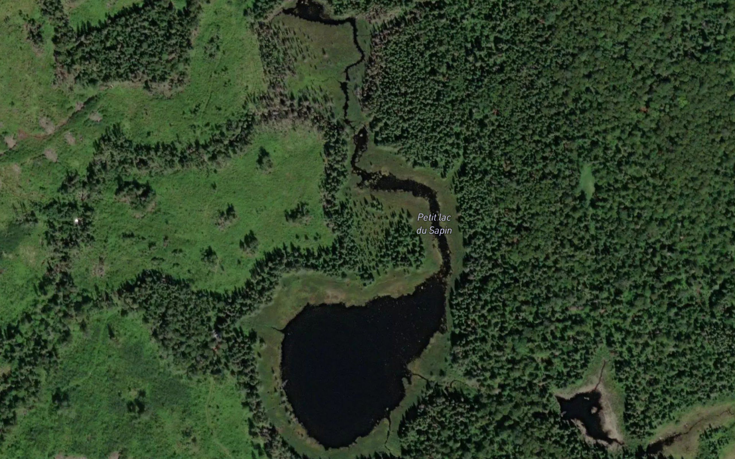 Petit lac du Sapin
