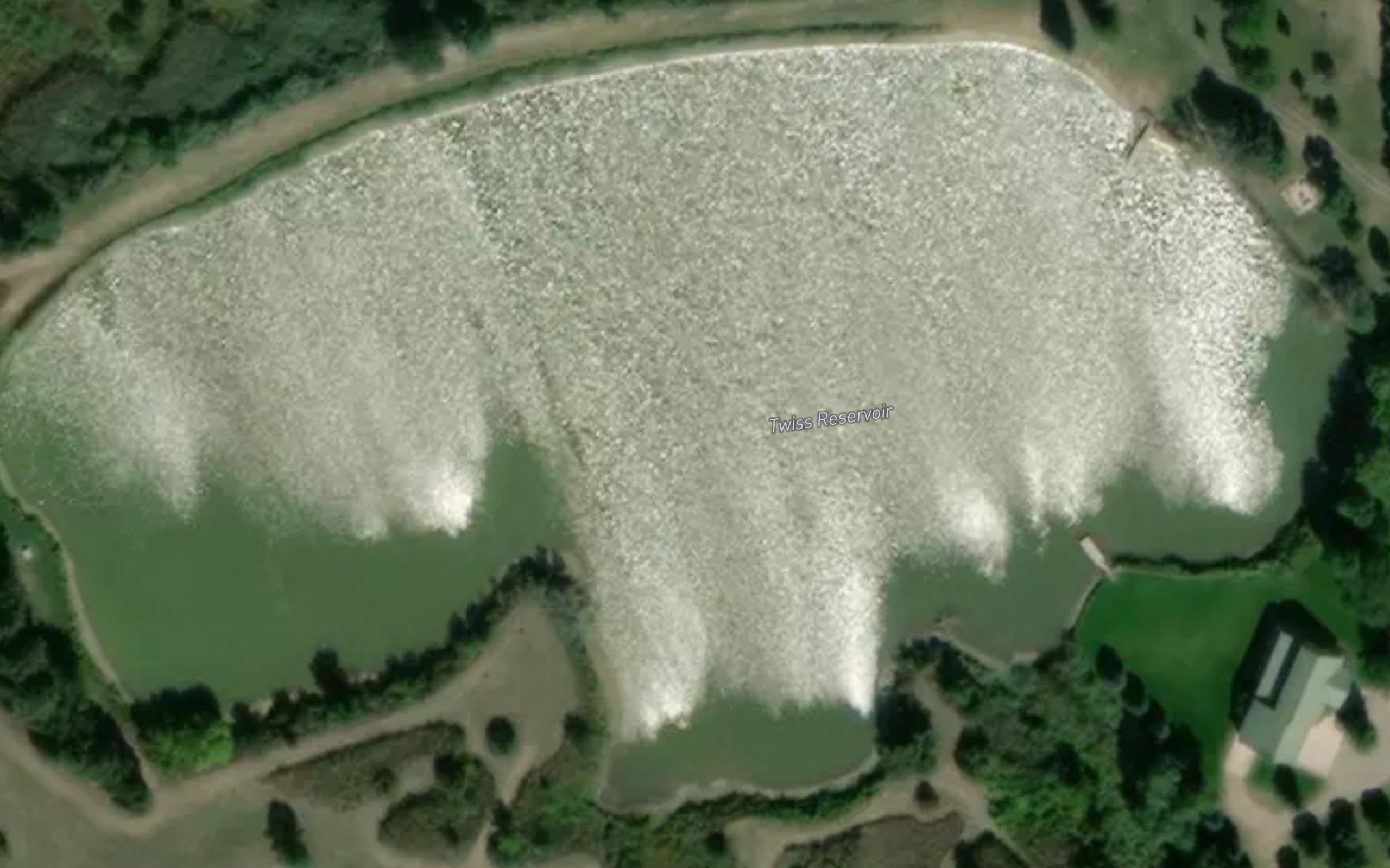 Twiss Reservoir