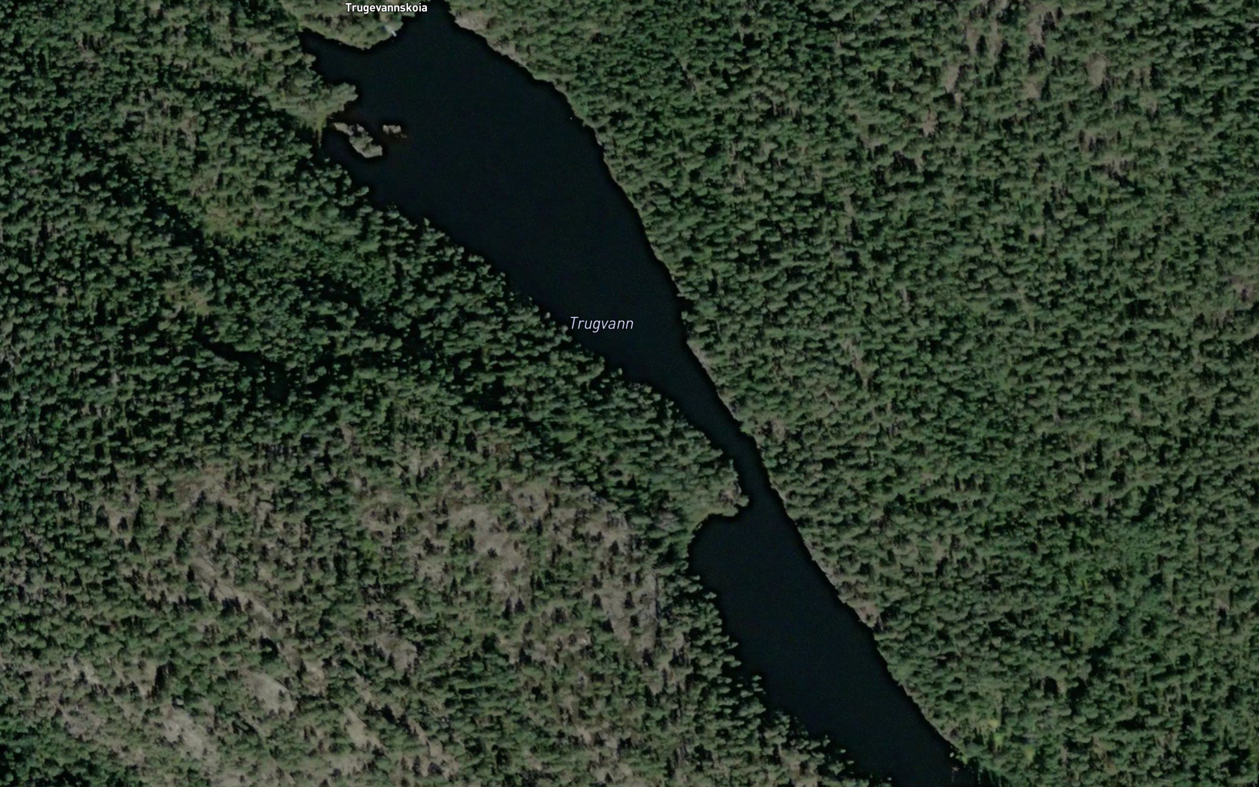 Trugvann