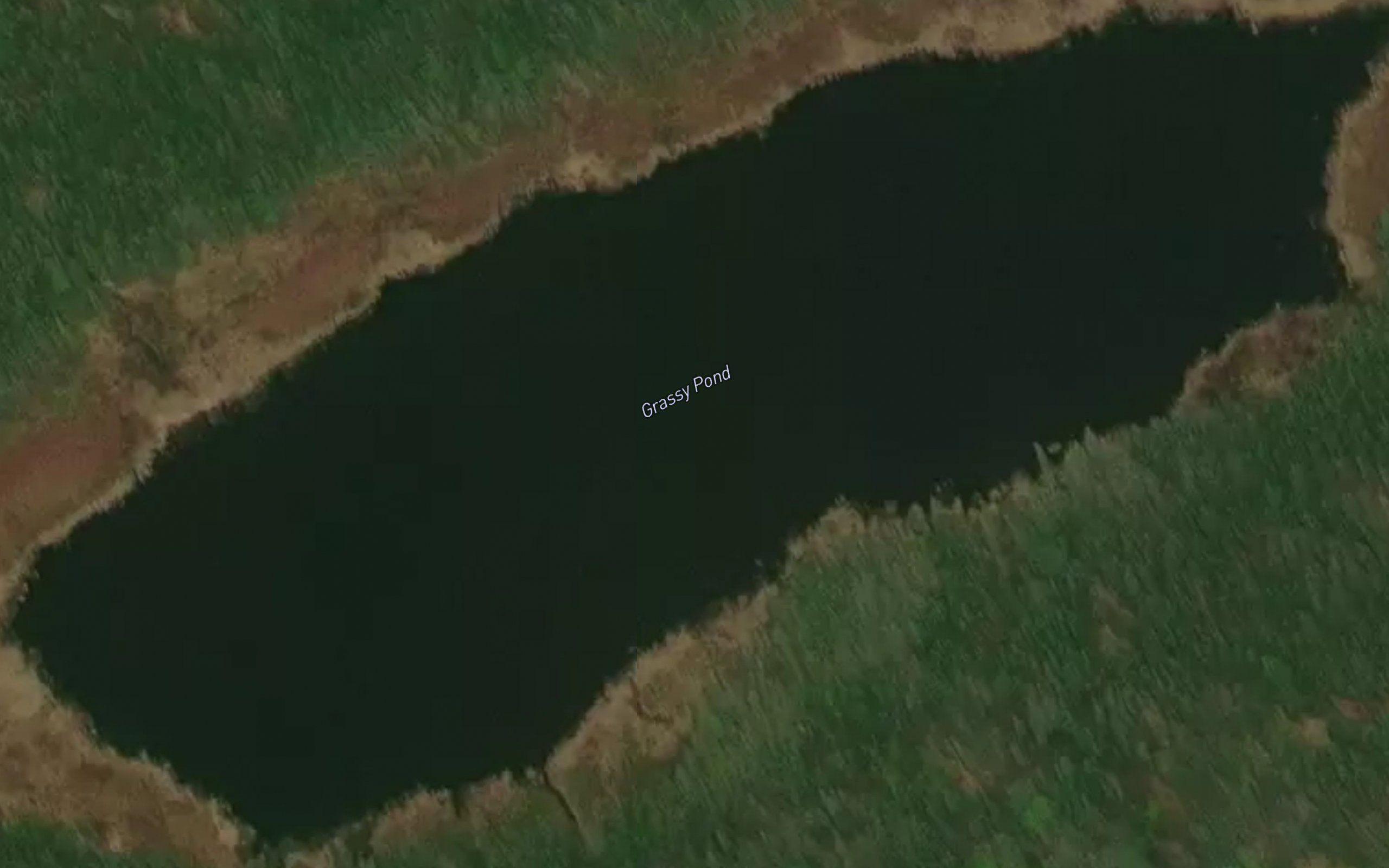 Grassy Pond