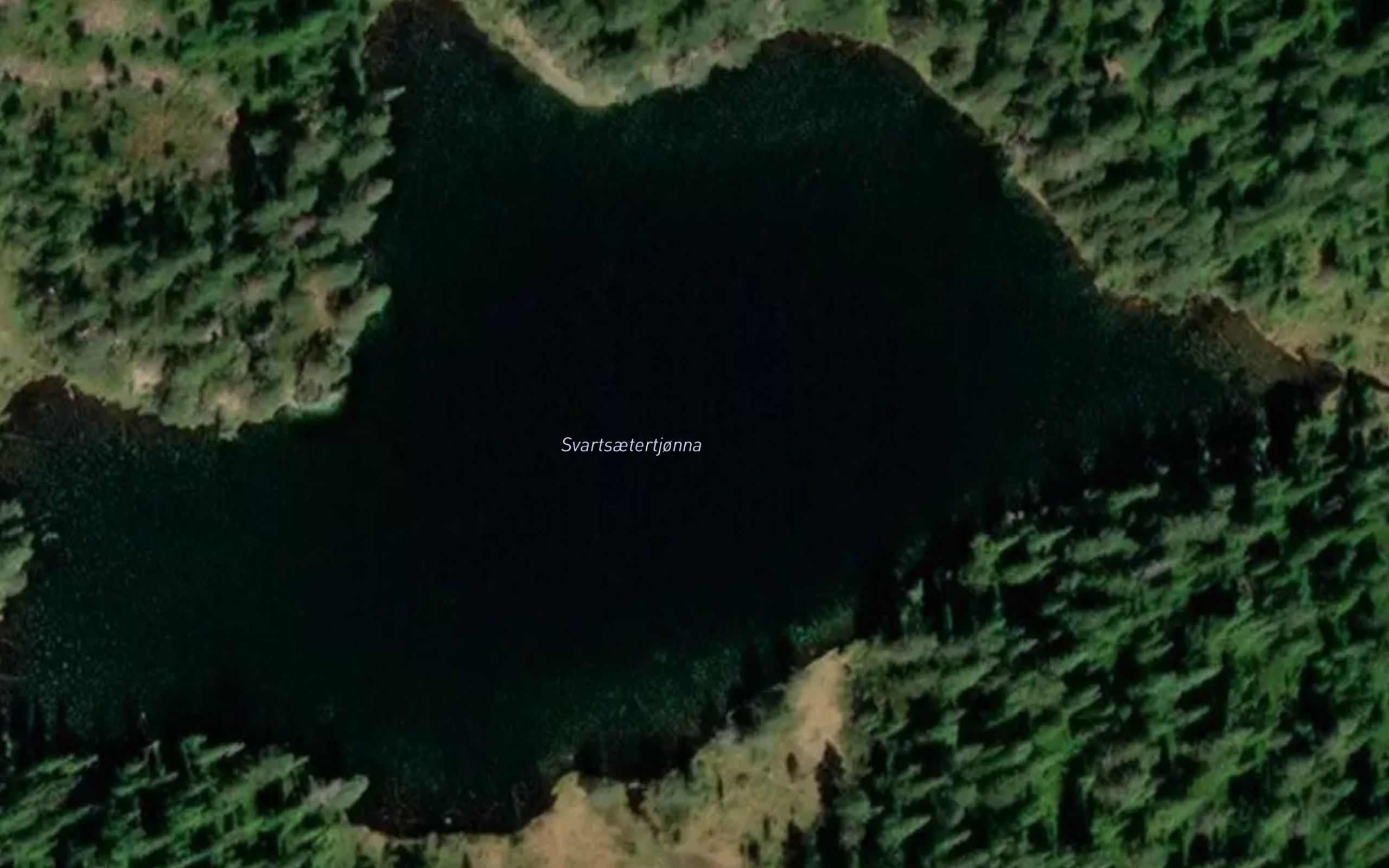 Svartsetertjonna