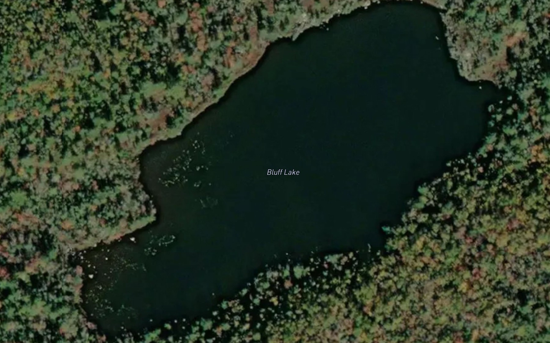Satellite map of the Bluff Lake