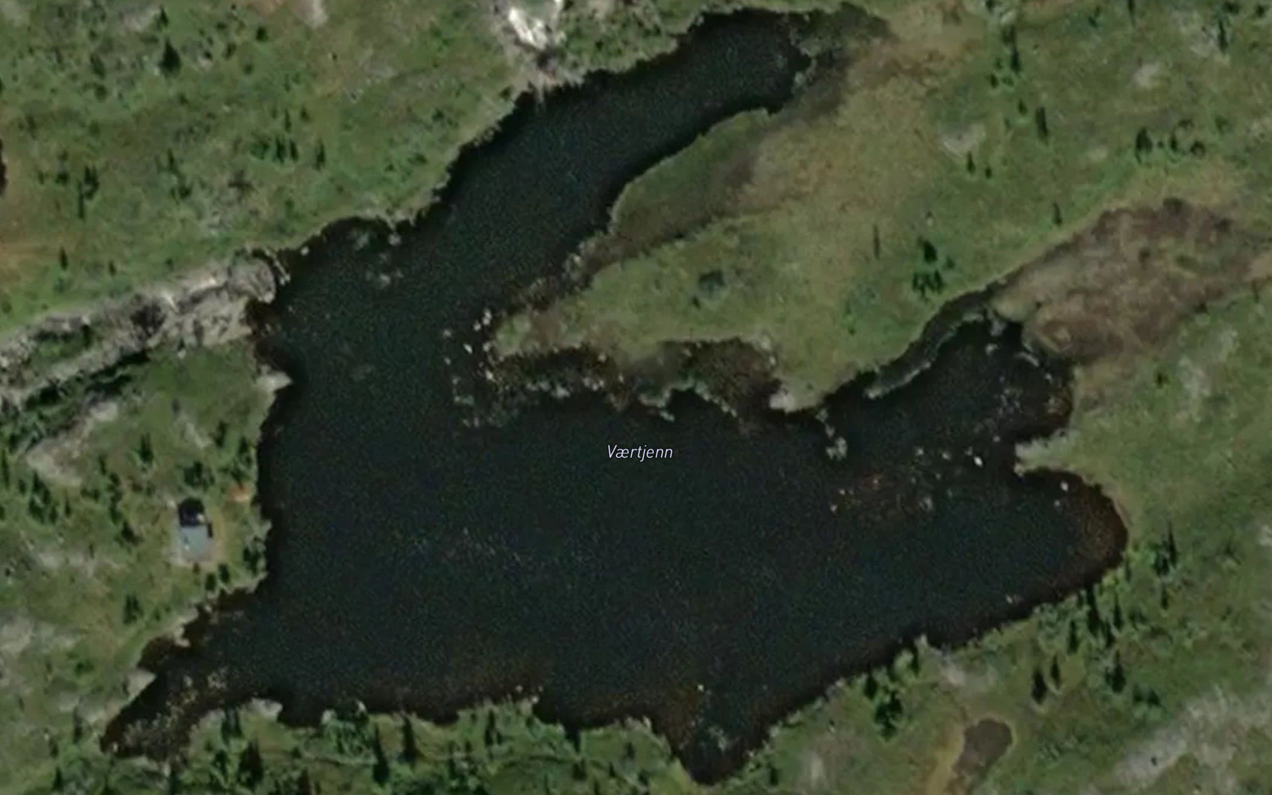 Vaertjern