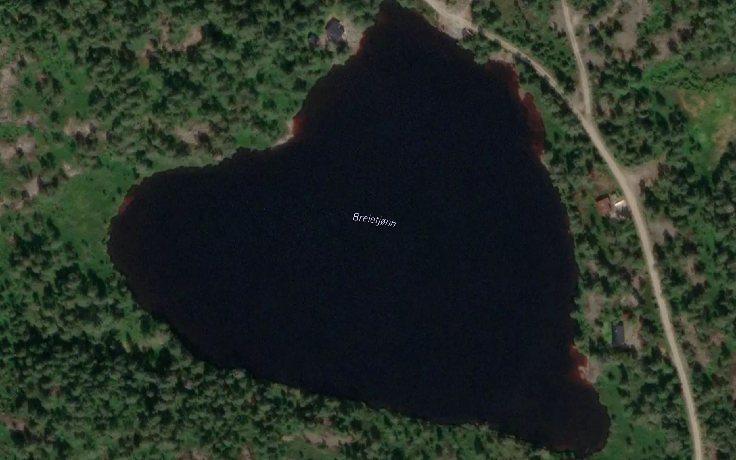 Breietjonn
