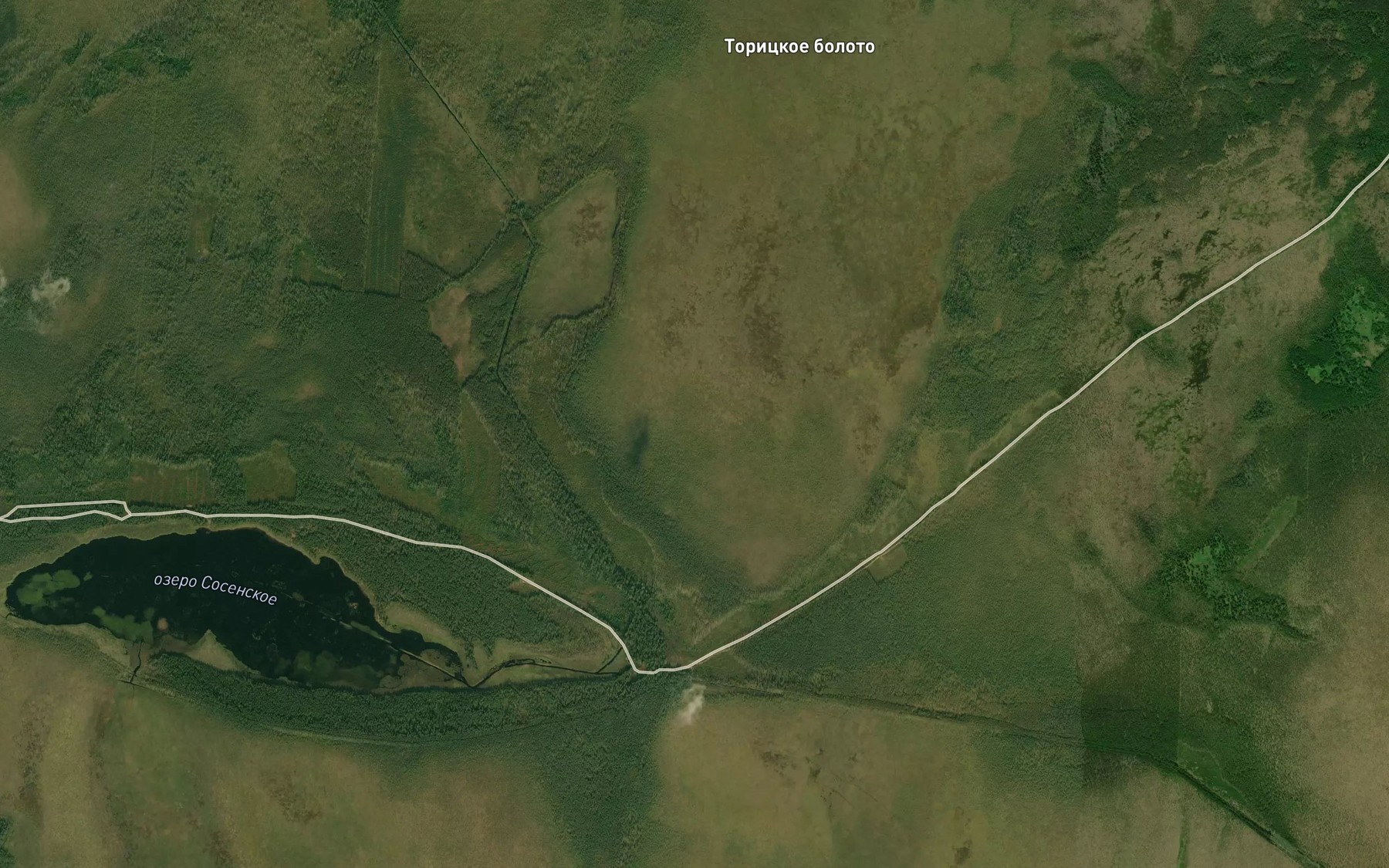 Satellite map of the Ozero Toritskoye