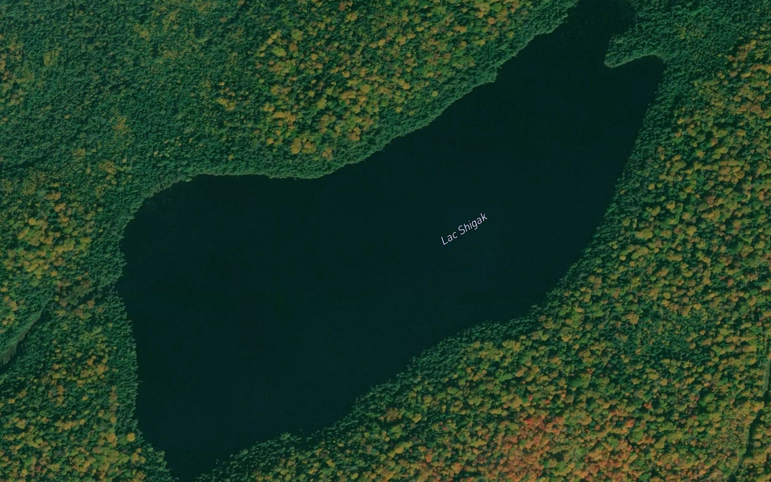 Lac Shigak