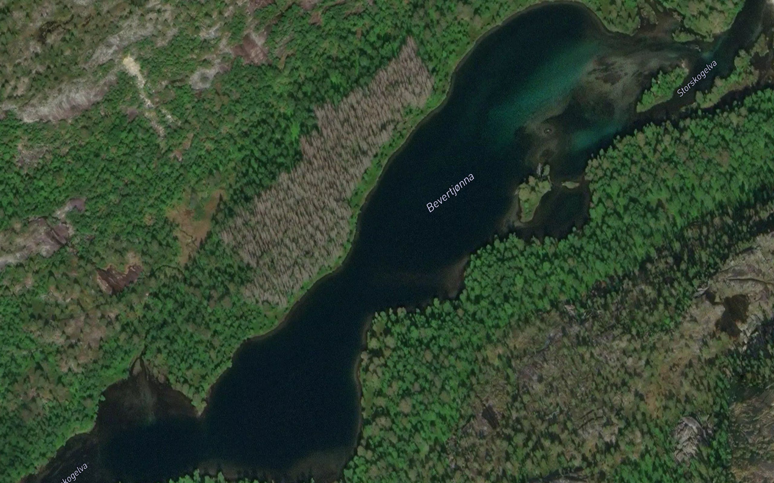 Bevertjorna
