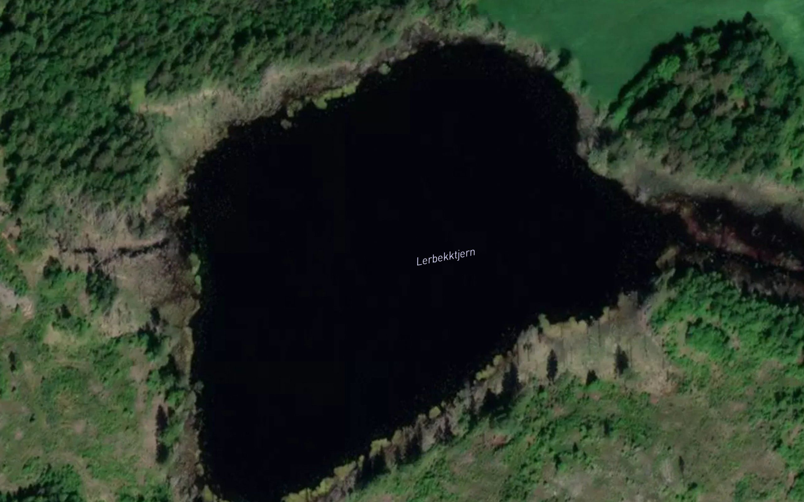Lerbekktjern
