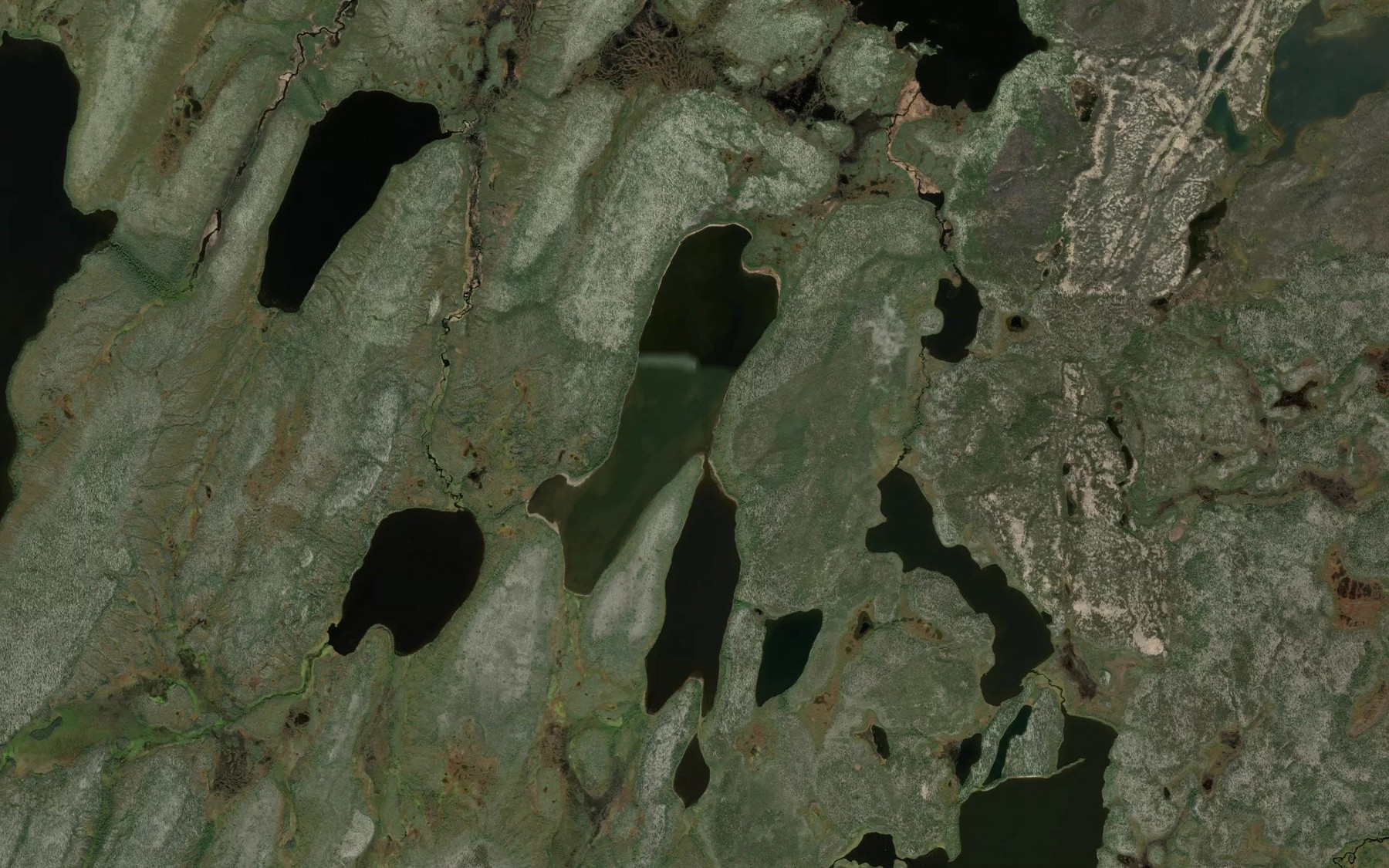 Satellite map of the Turrill Lake