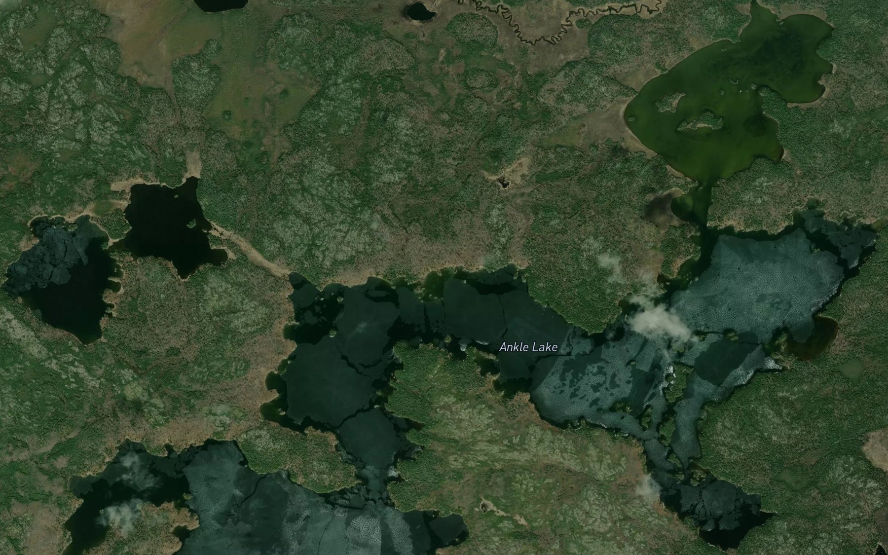 Satellite map of the Ankle Lake