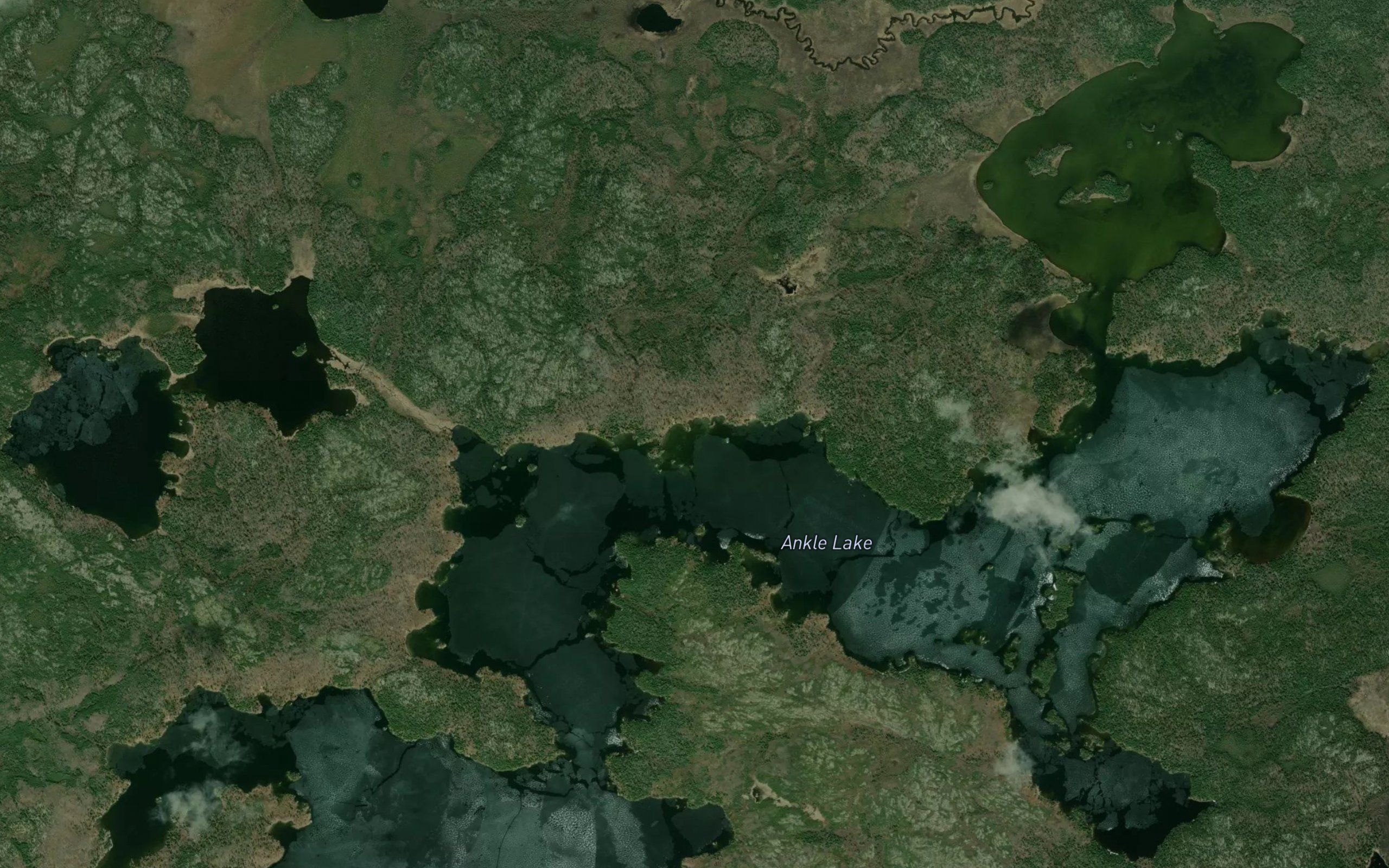 Ankle Lake