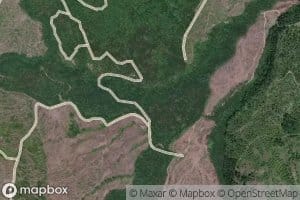 Lookout Creek