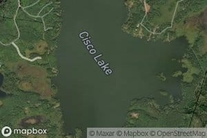 Cisco Lake