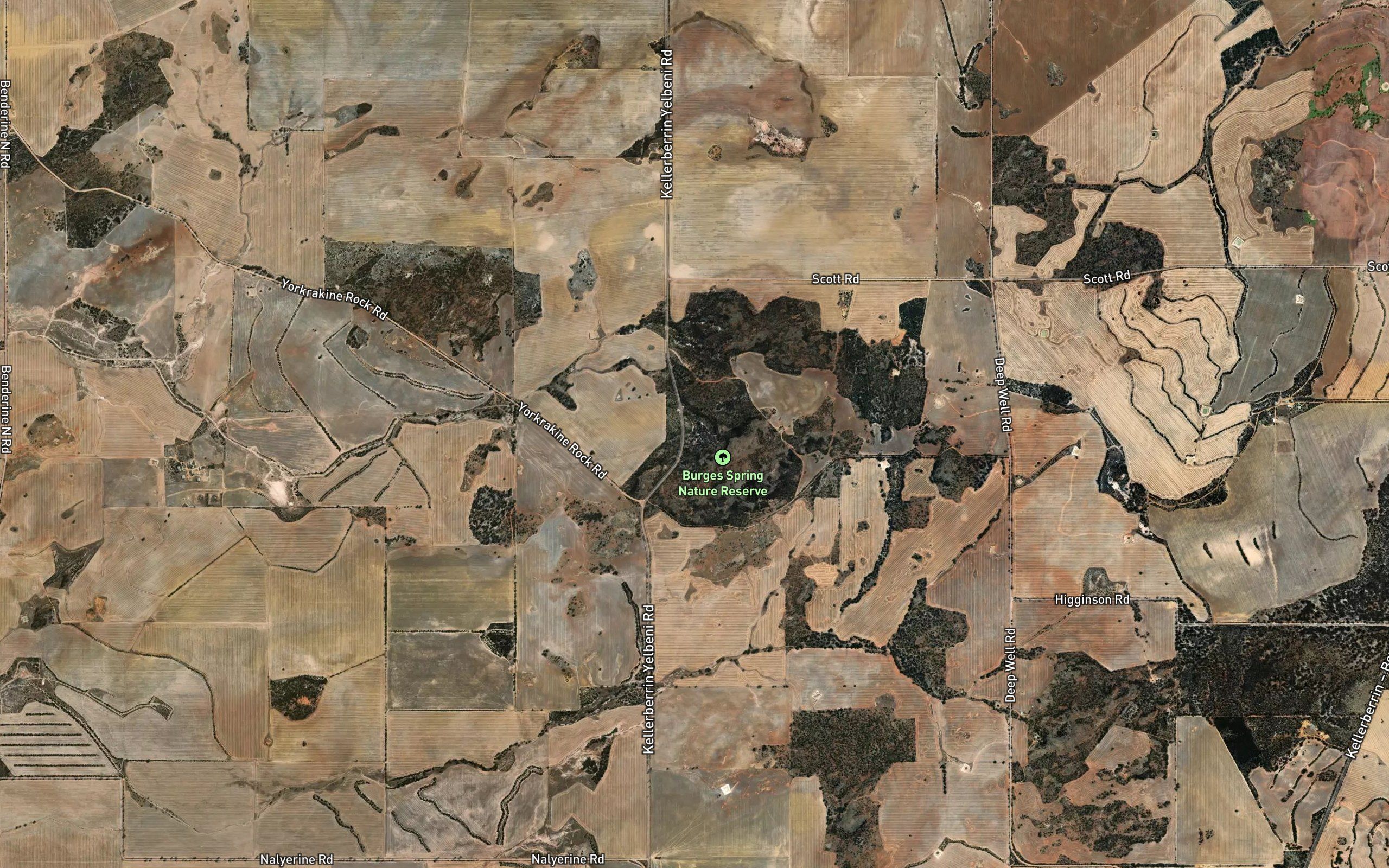 Burges Spring