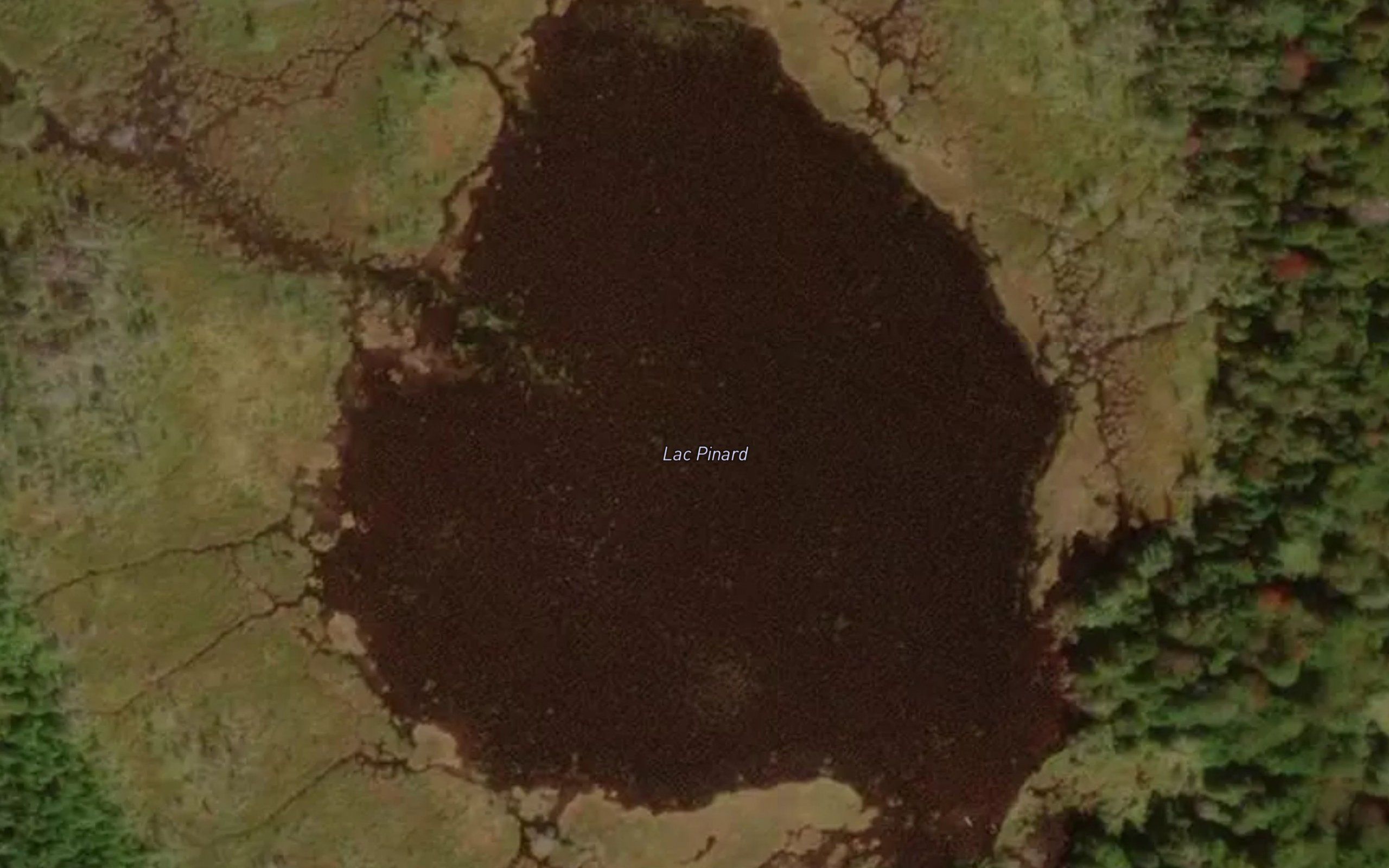 Lac Pinard