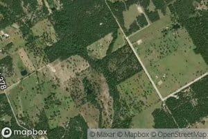 Hogpen Branch