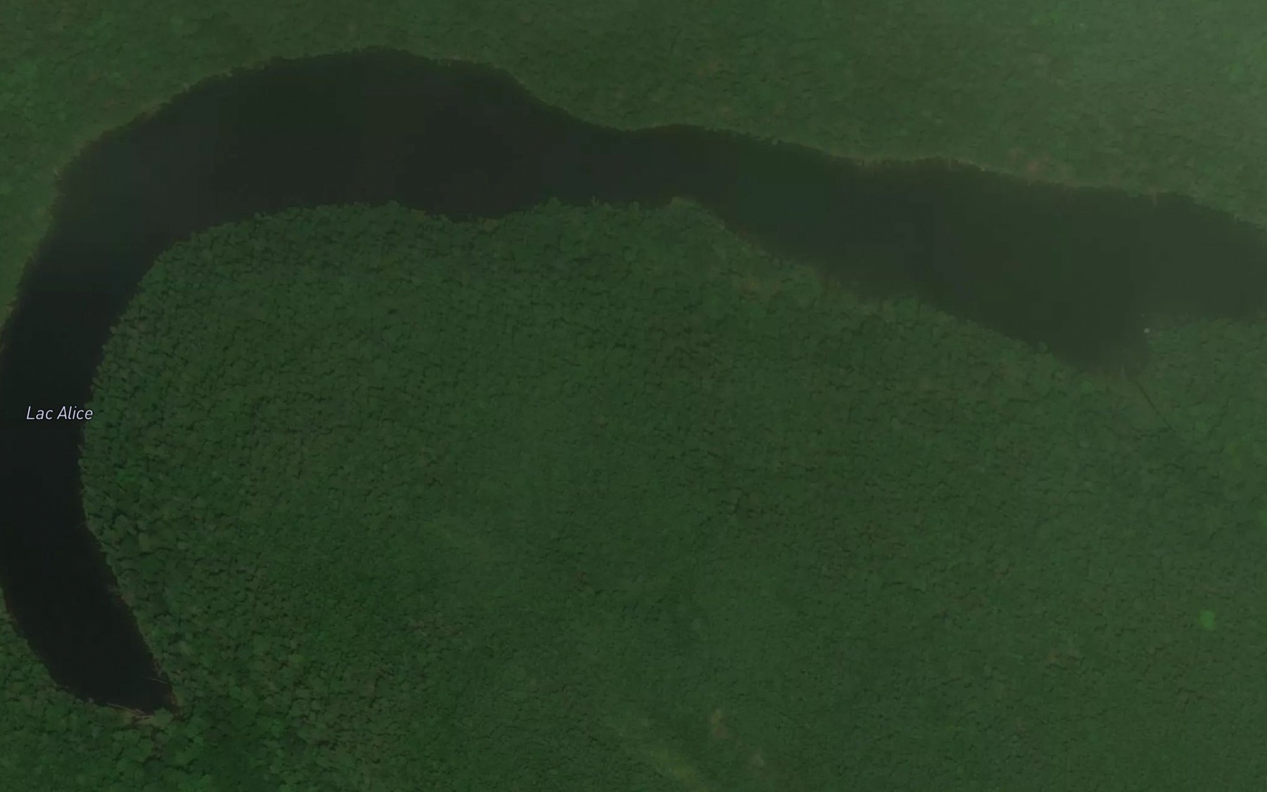 Satellite map of the Lac Alice