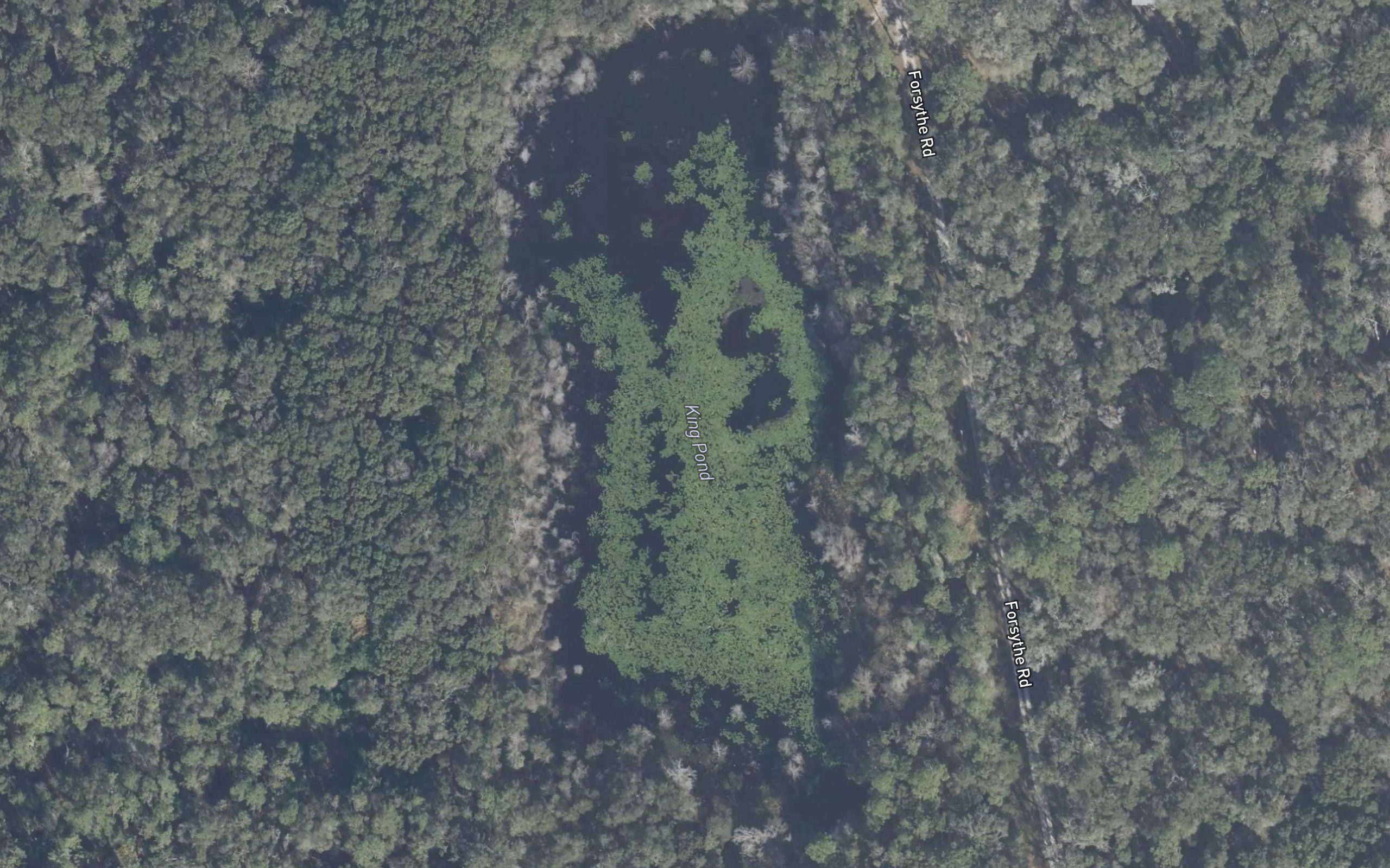 King Pond
