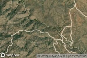 Quail Spring