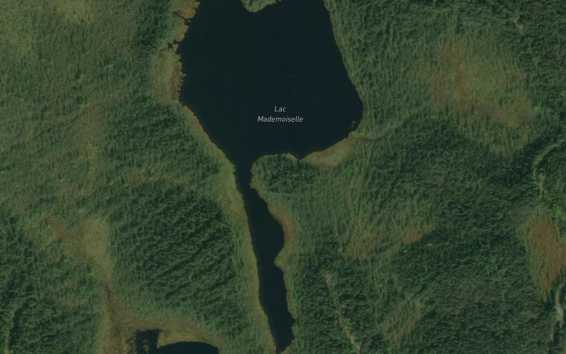 Satellite map of the Lac Mademoiselle