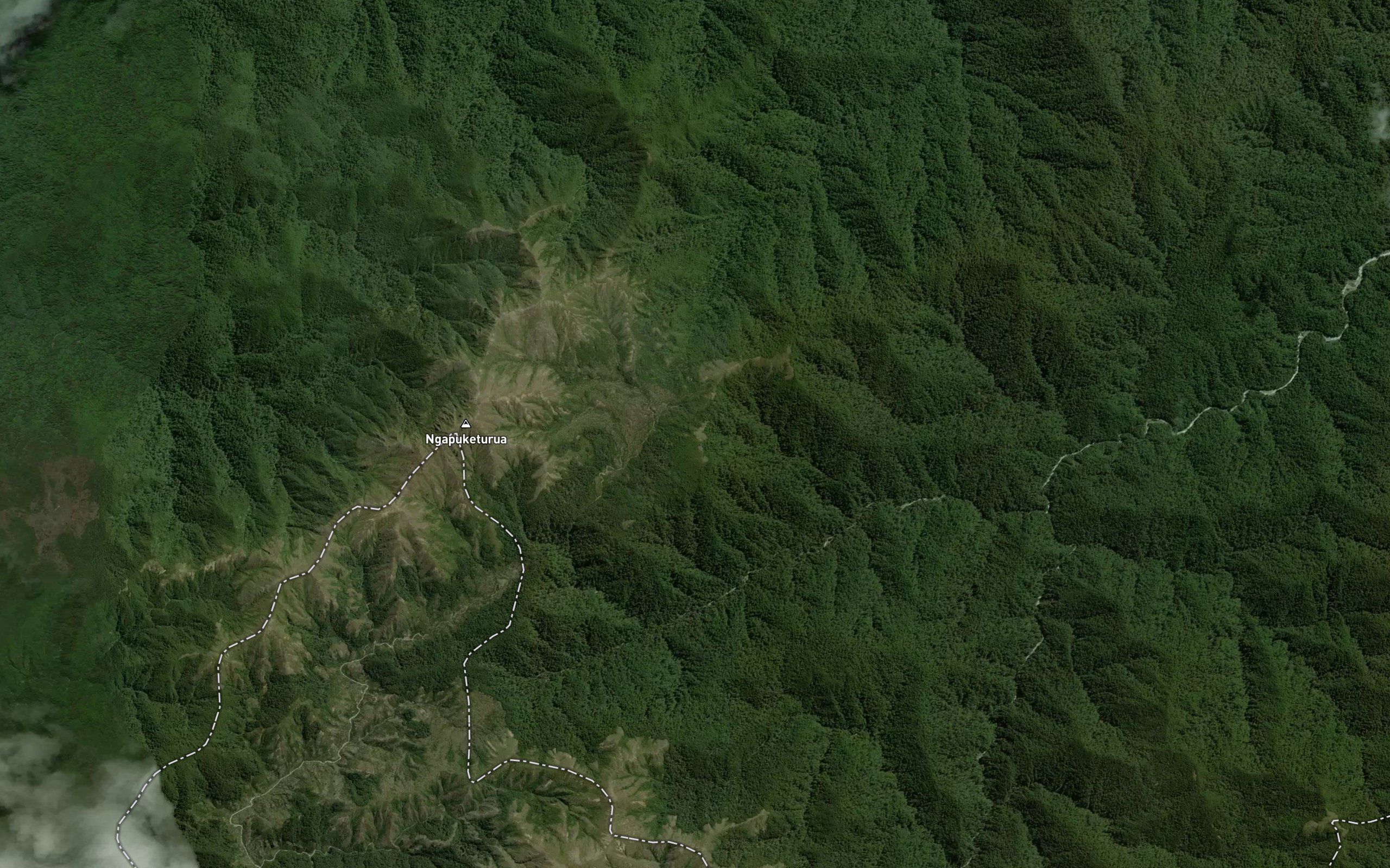 Kakapo Stream