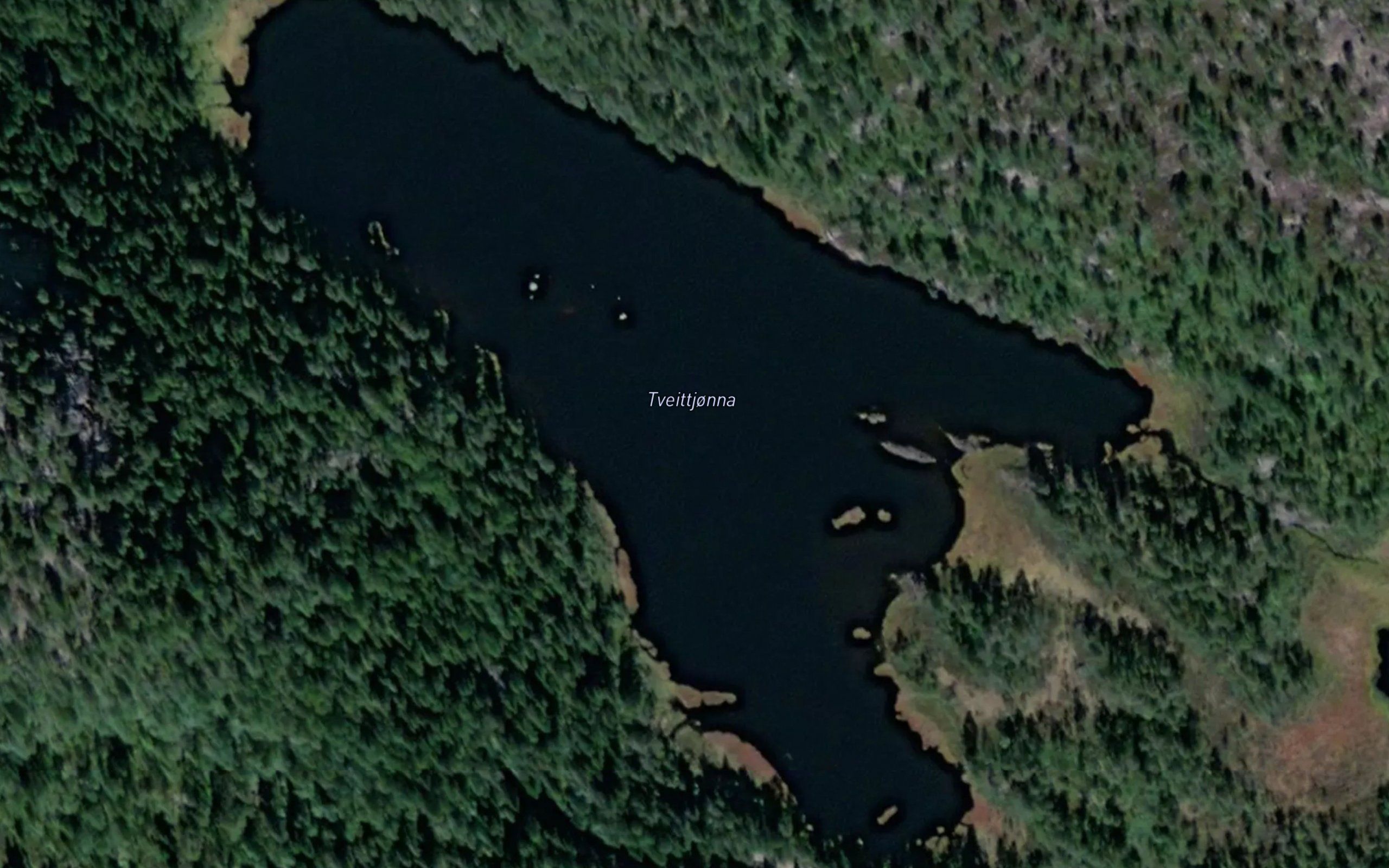 Tveittjonna