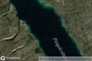Pinguicula Lake