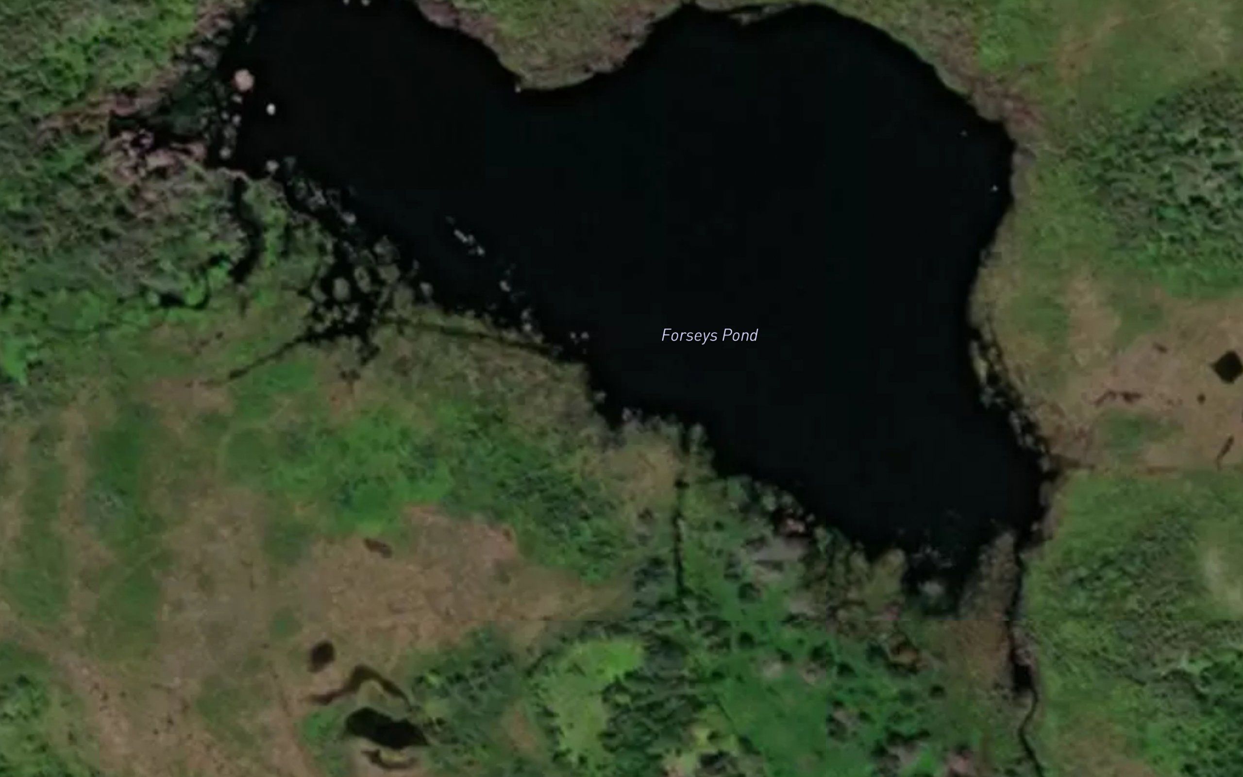 Forseys Pond