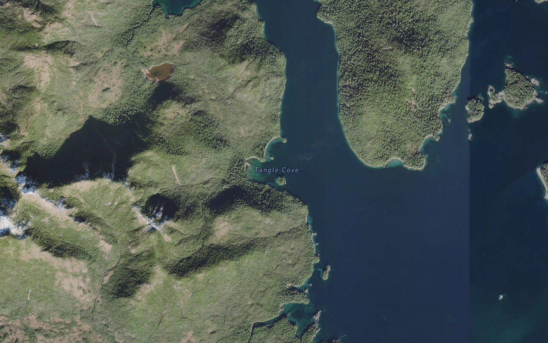 Satellite map of the Tangle Cove