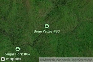 Bone Valley Creek