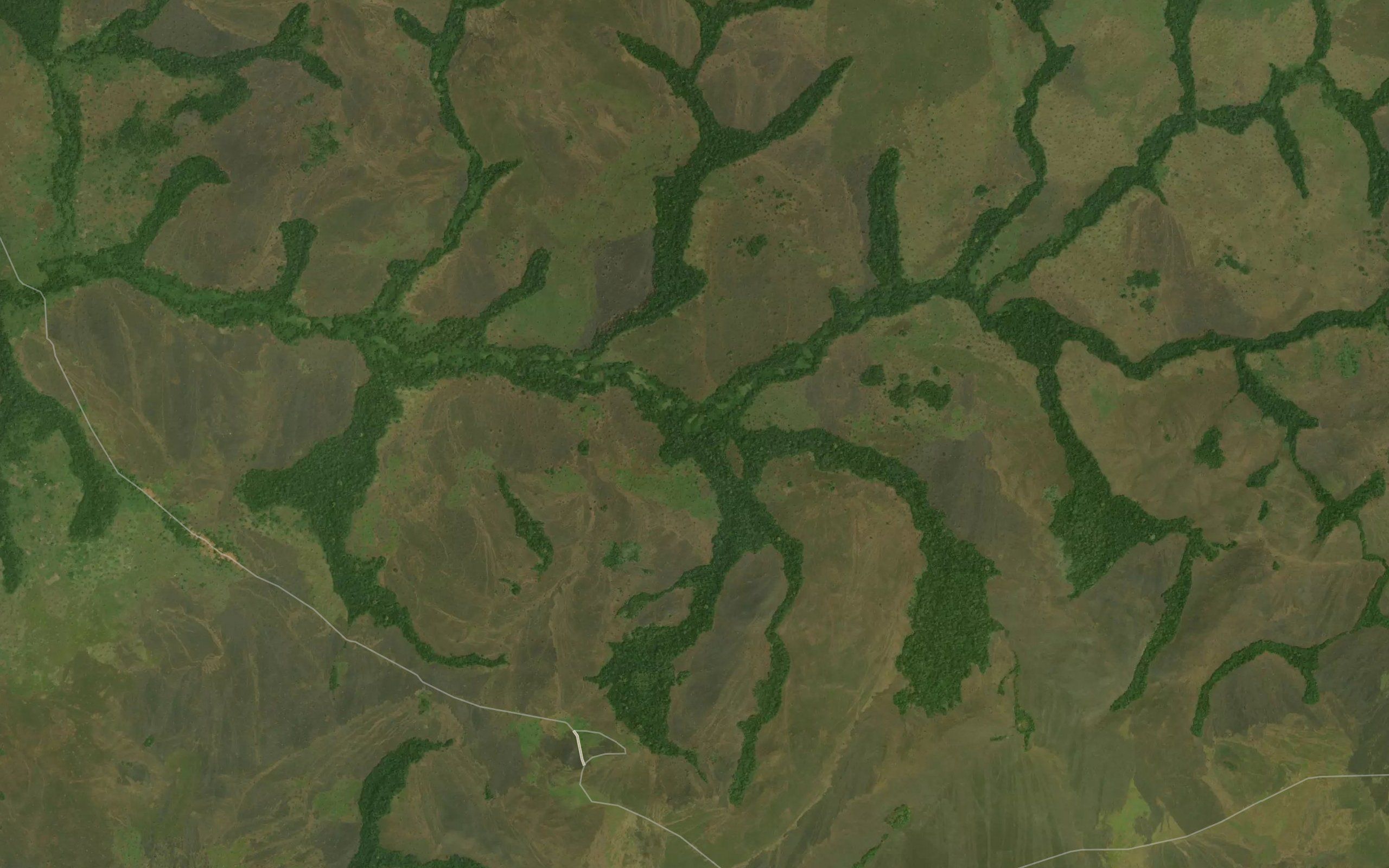 Goskwa