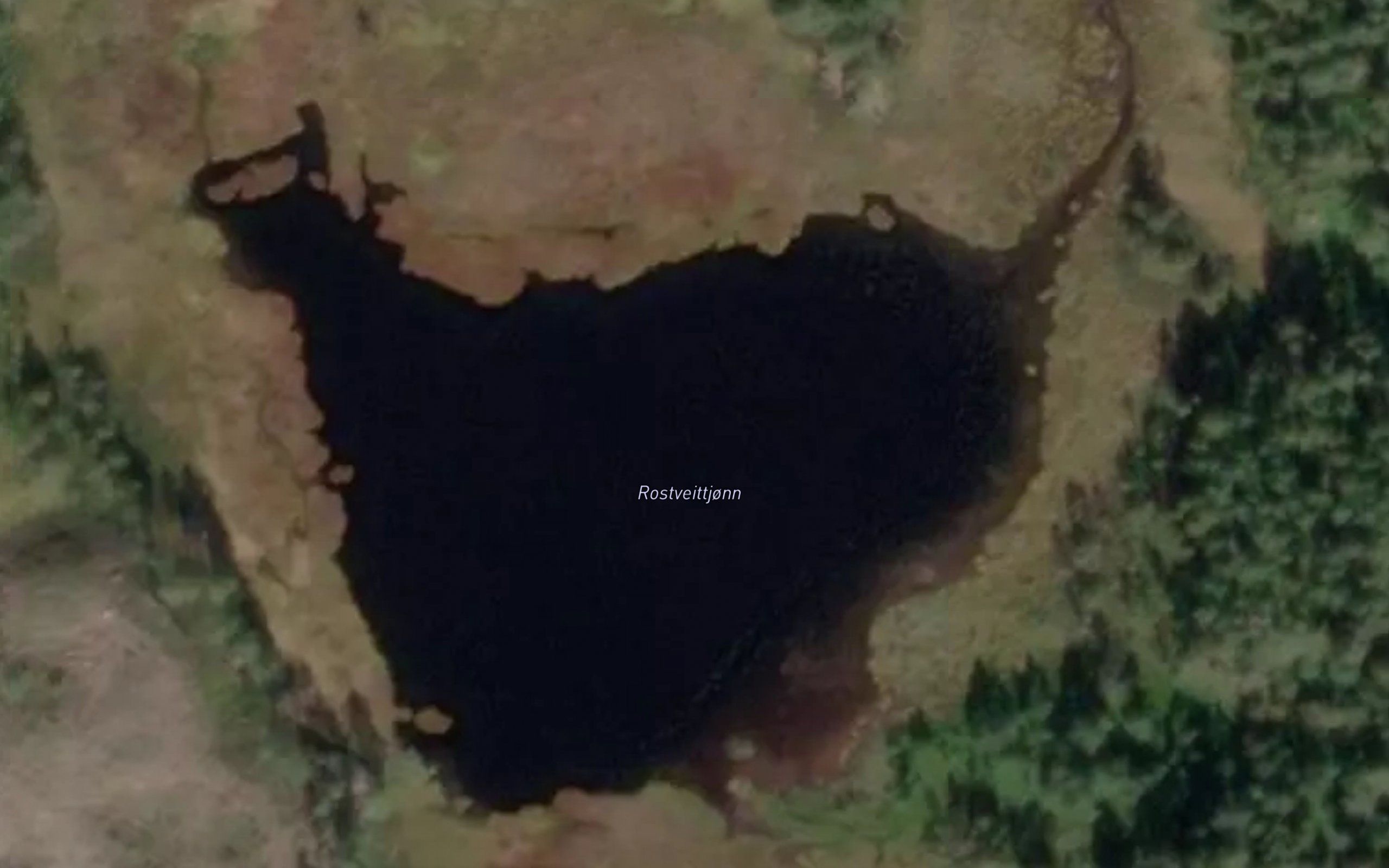 Rostveittjonn