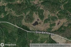 Vildrastjonna