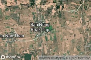 Nong Phak Top