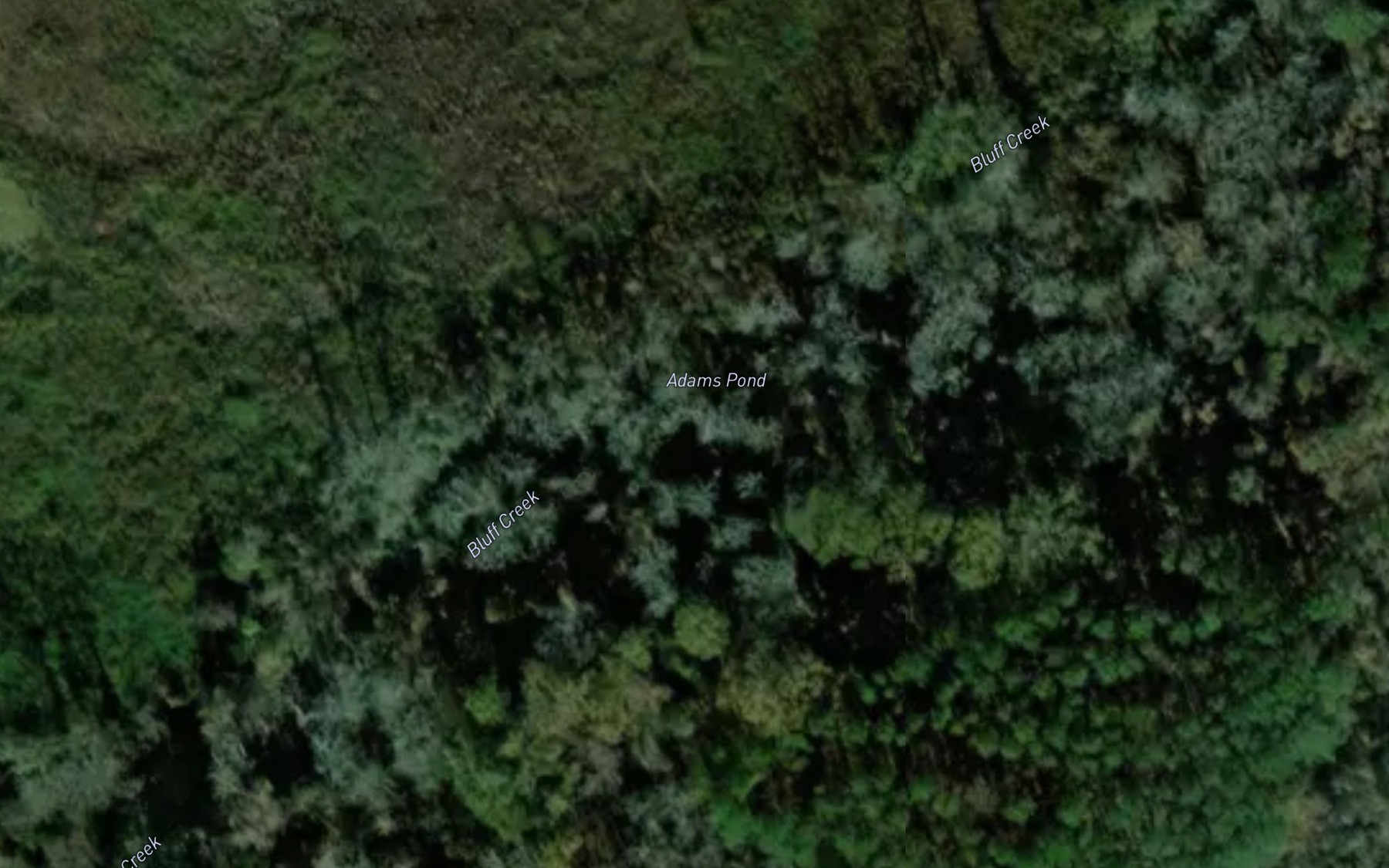 Satellite map of the Adams Pond