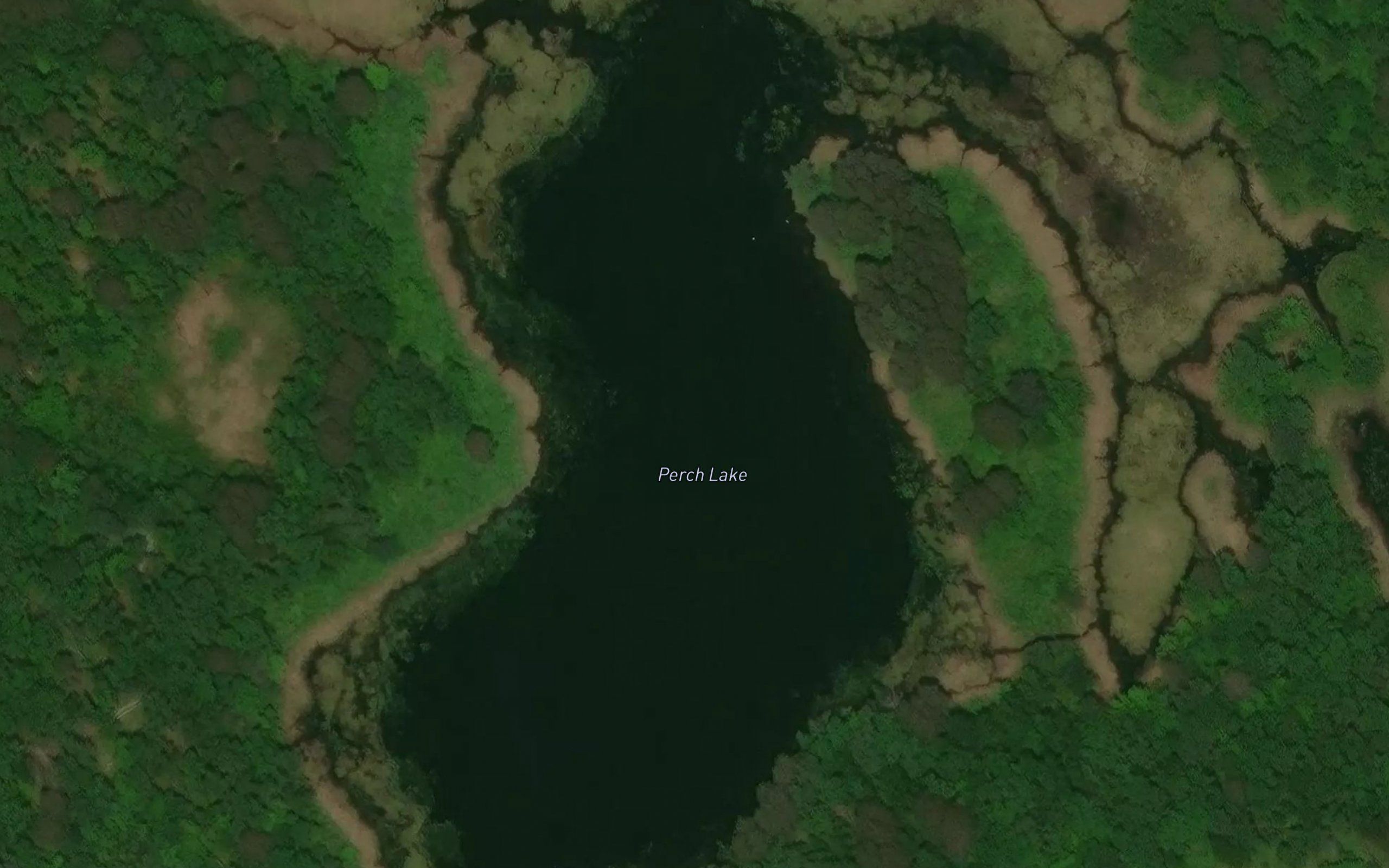 Perch Lake
