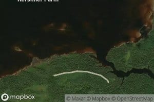Reed Brook