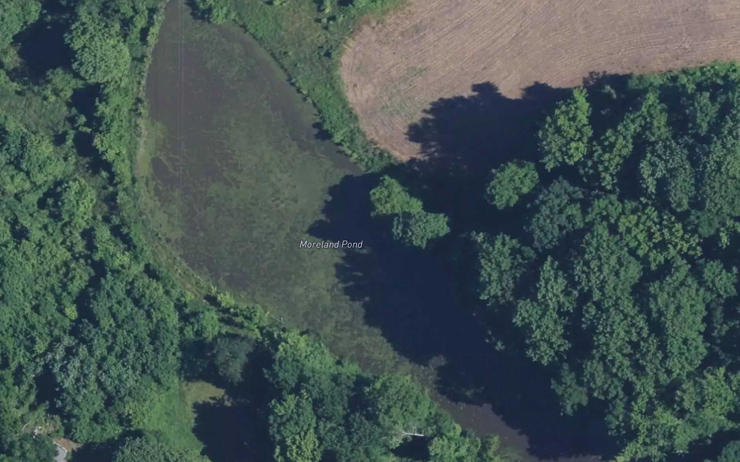Moreland Pond