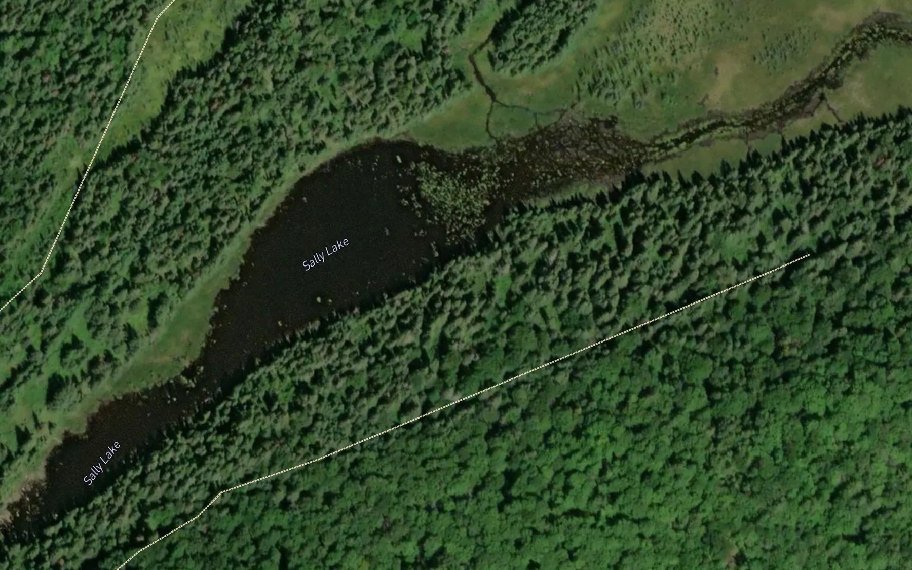 Satellite map of the Sally Lake