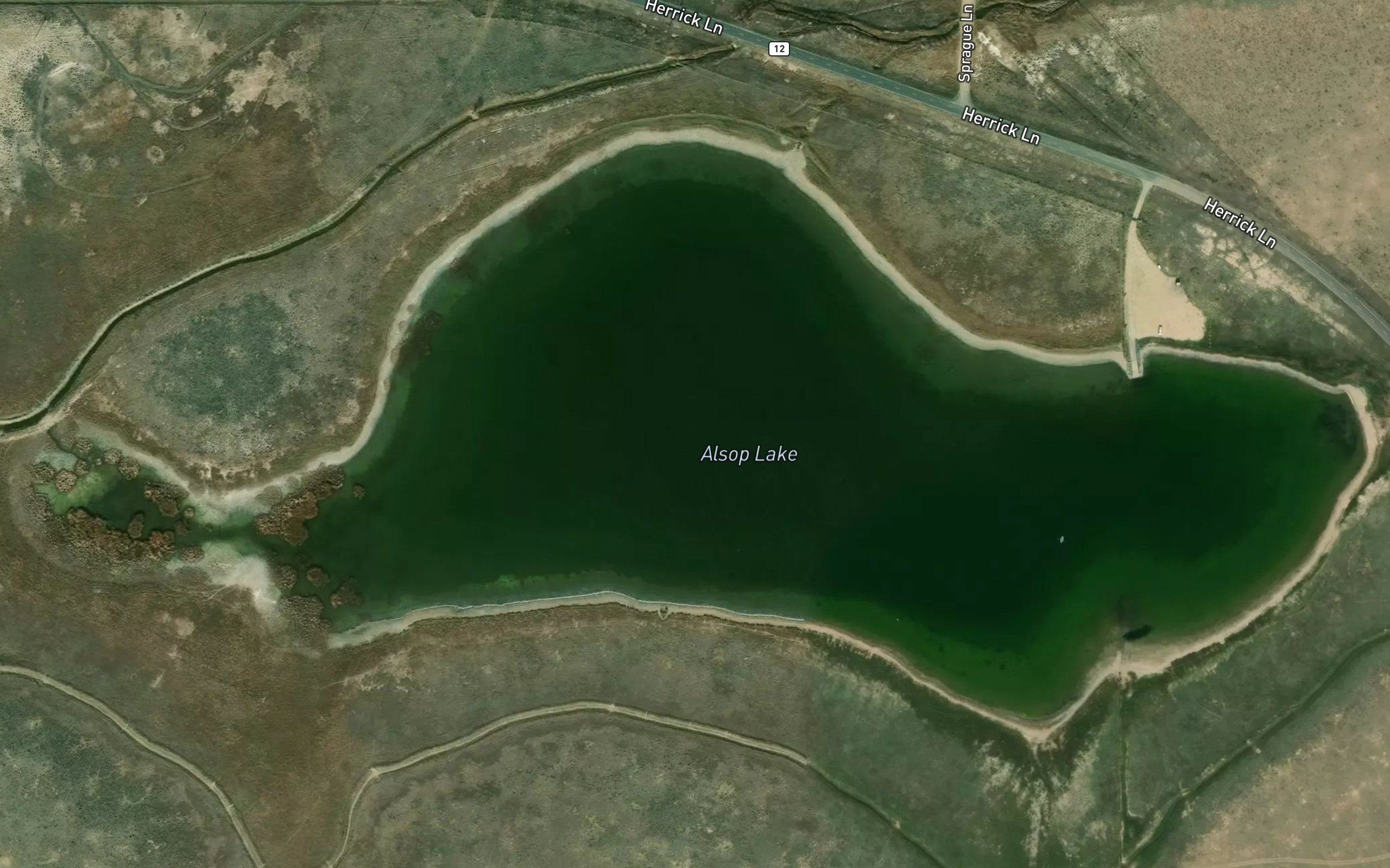 Alsop Lake