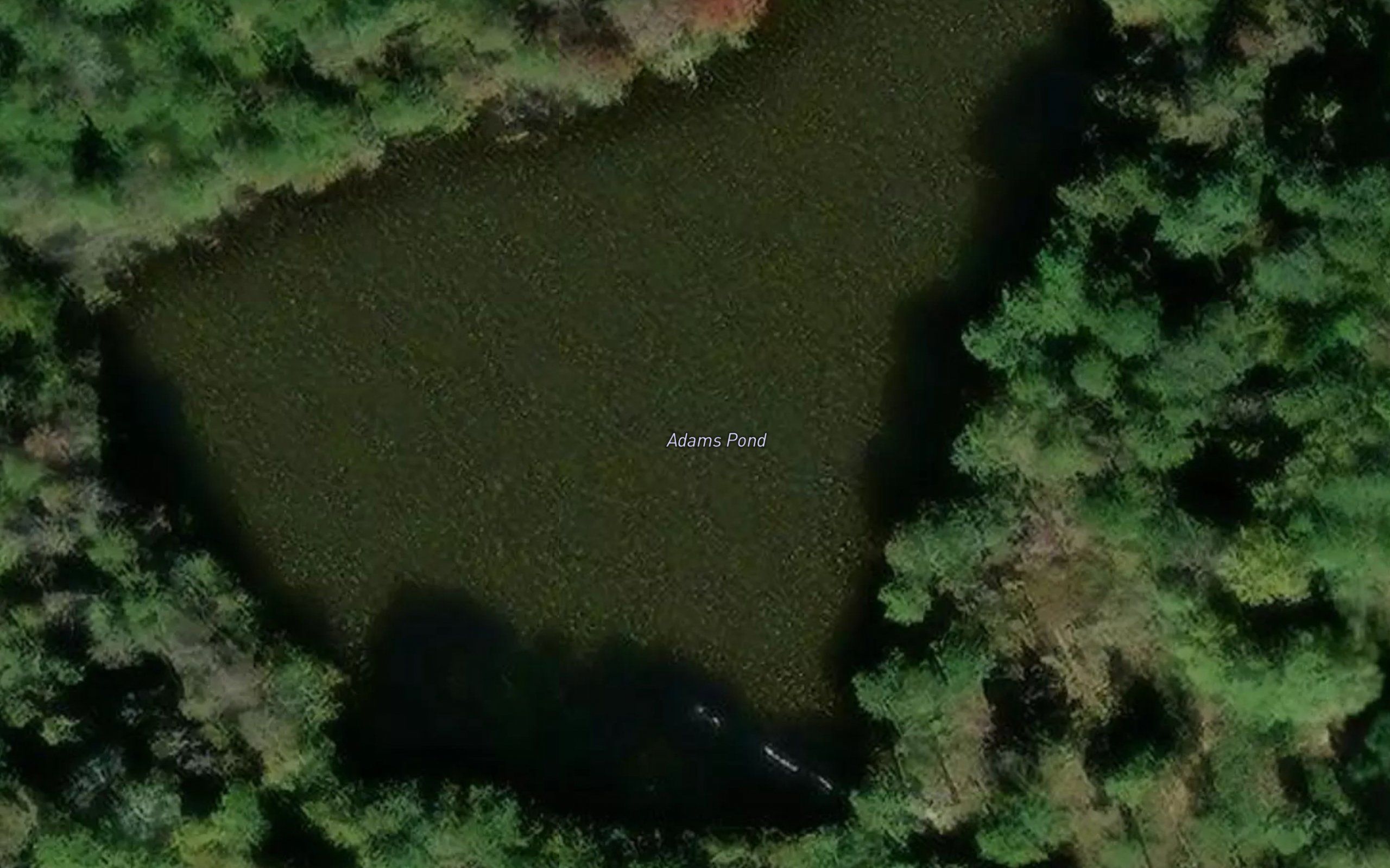 Adams Pond