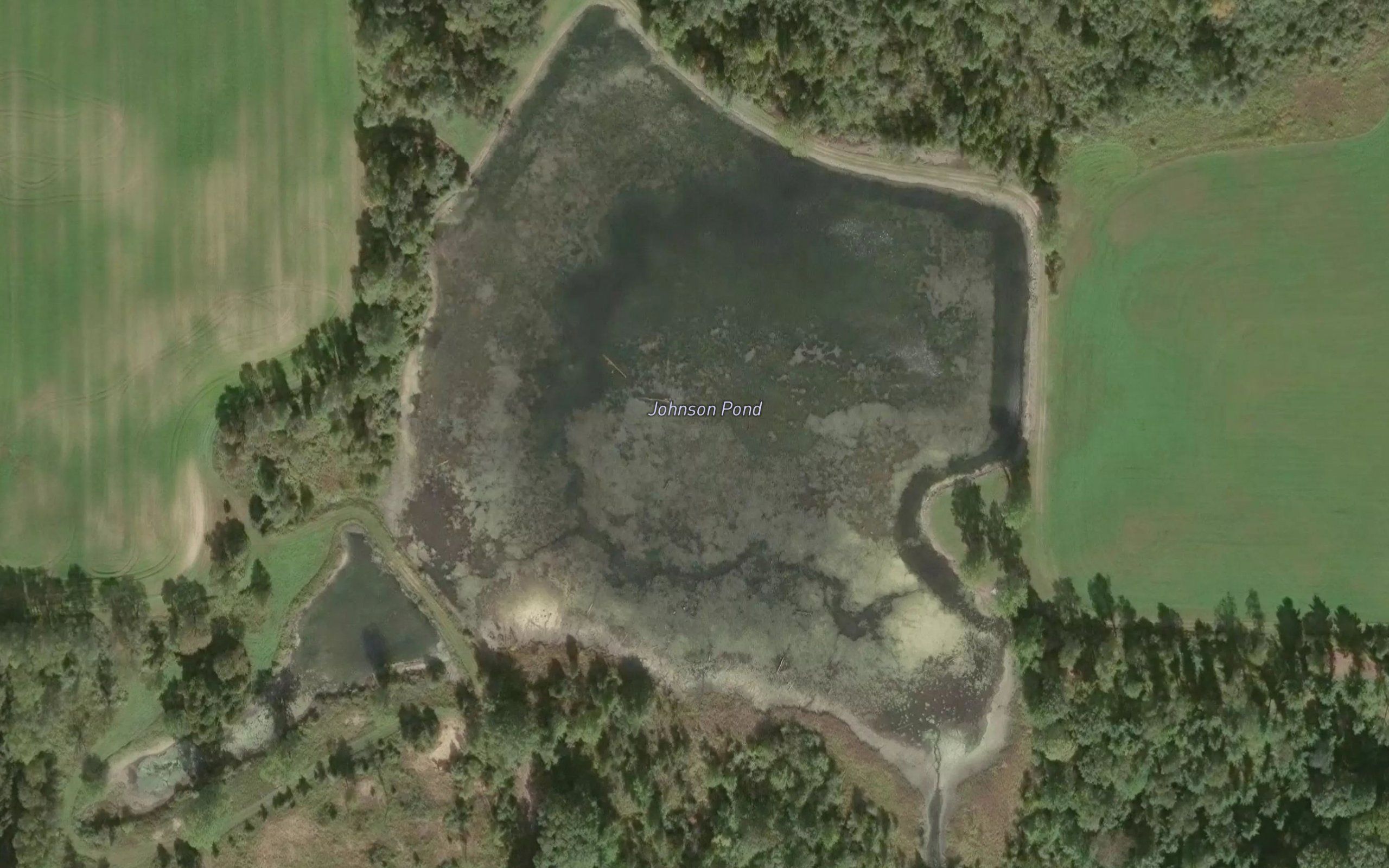 Johnson Pond