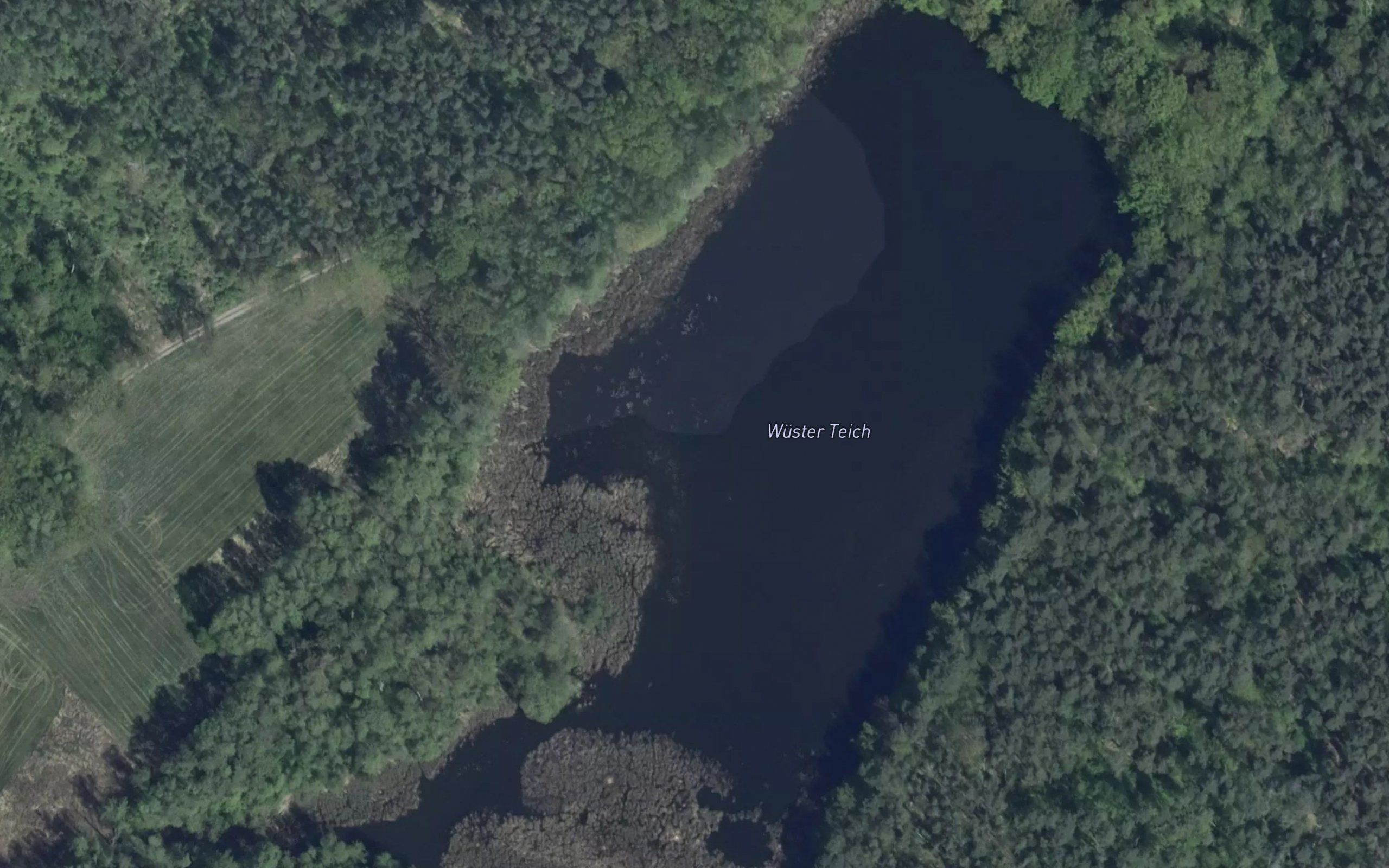 Wuster Teich