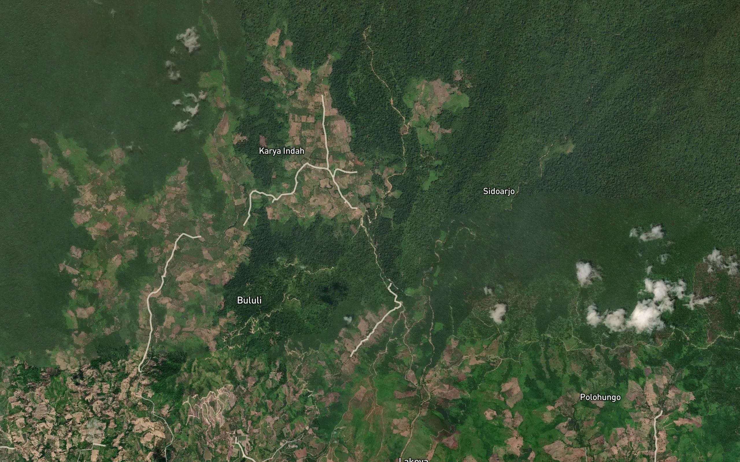 Dutula Bulangita