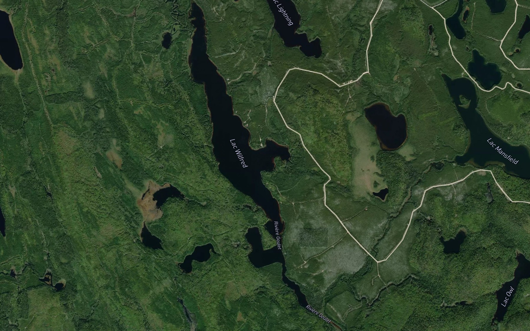 Satellite map of the Lac Wilfred
